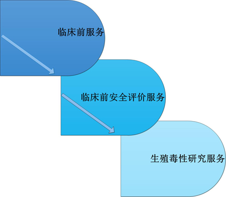 AG真人国际临床前服务中的生殖毒性服务