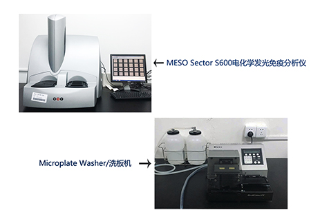 AG真人国际电化学发光免疫分析仪和全自动洗板机