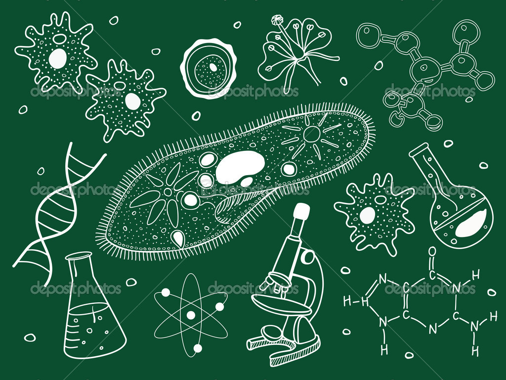 Nature：科学家找到杀死抗药细菌的新靶点