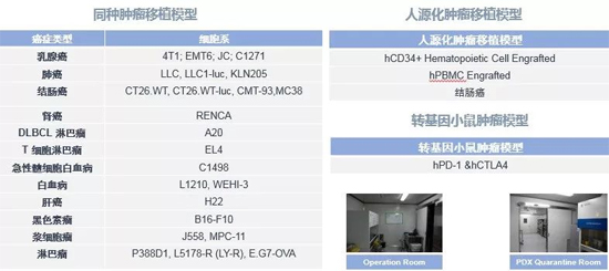 AG真人国际药效学动物模型