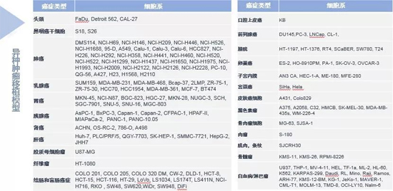 AG真人国际药效学动物模型