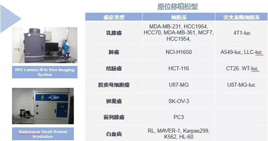 AG真人国际药效学动物模型