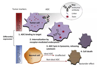 浅析：ADC药物的抗癌之路