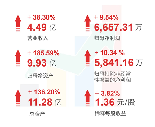 AG真人国际 财务亮点