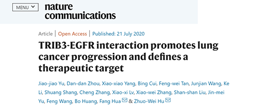 Nature|非小细胞肺癌治疗新方案：靶向降解EGFR