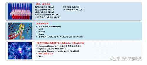 AG真人国际生物技术药物分析部服务内容
