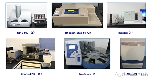 AG真人国际生物技术药物分析部服务仪器