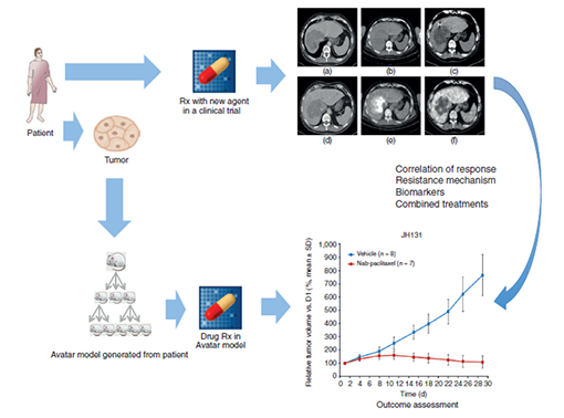 SNI:Neuro-Oncology 2015, Vol 6, Suppl I - A supplement to Surgical Neurology International