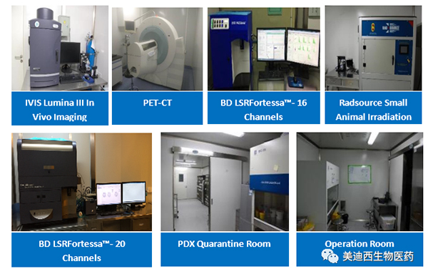 AG真人国际药理部拥有IVIS Lumina III, PET-CT, BD LSRFortessa-16，Flow Cytometry等仪器