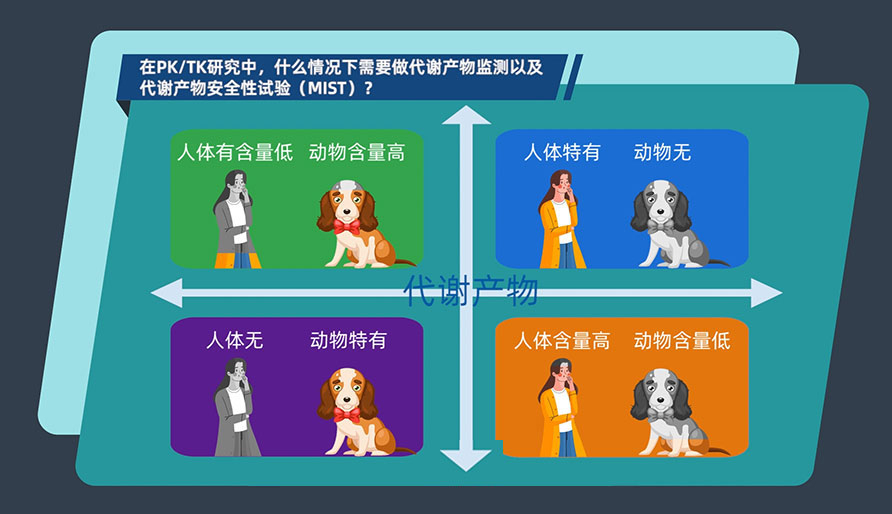 在PK-TK研究中，什么情况下需要做代谢产物监测以及代谢产物安全性试验（MIST）