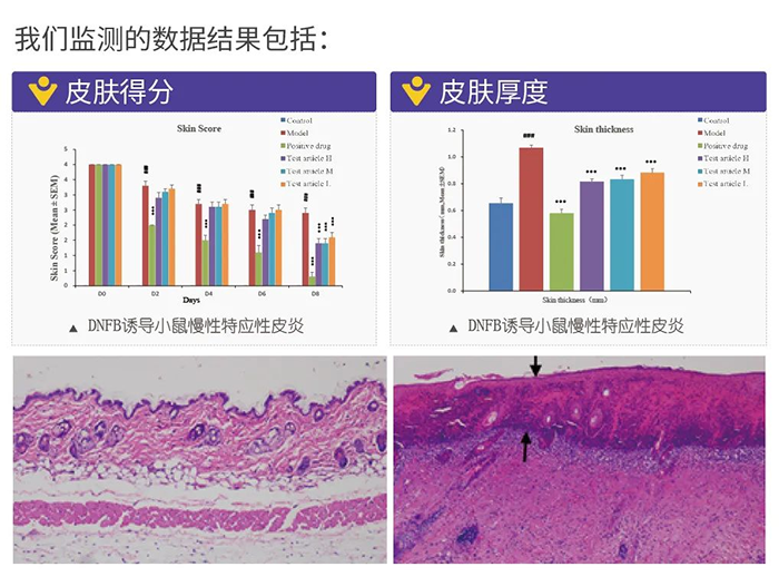 AG真人国际监测的数据结果.png