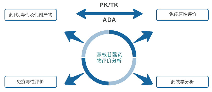 寡核苷酸药物评价分析.jpg