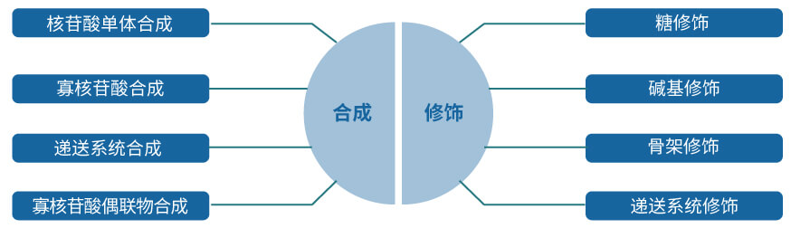 AG真人国际核酸药物研发服务平台.jpg