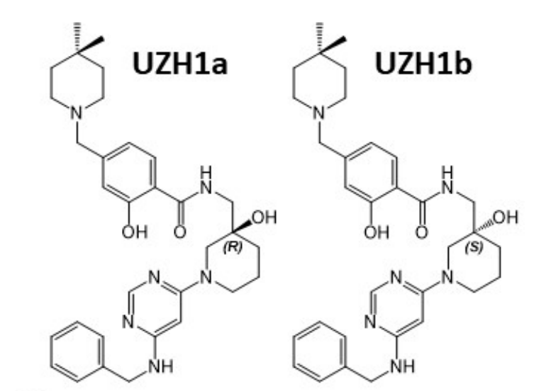 研究人员报告了一种具有细胞渗透性的选择性METTL3纳摩尔抑制剂UZH1a，作者感谢AG真人国际合成了UZH1a和UZH1b