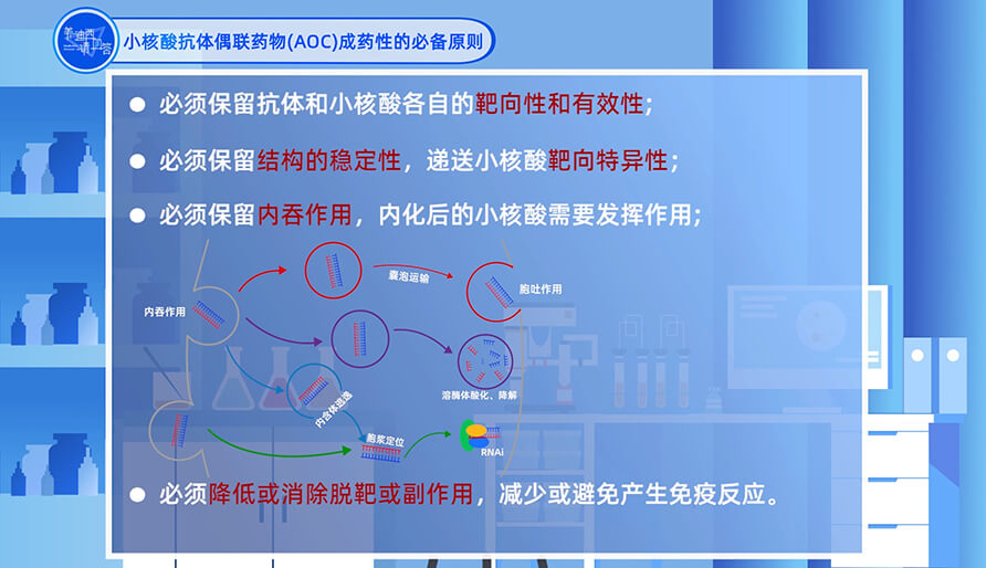 小核酸抗体偶联药物（AOC）成药性的必备原则？