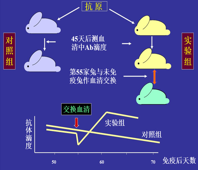 Figure-1：机体对抗体浓度变化的感知与反馈性自我调节.jpg