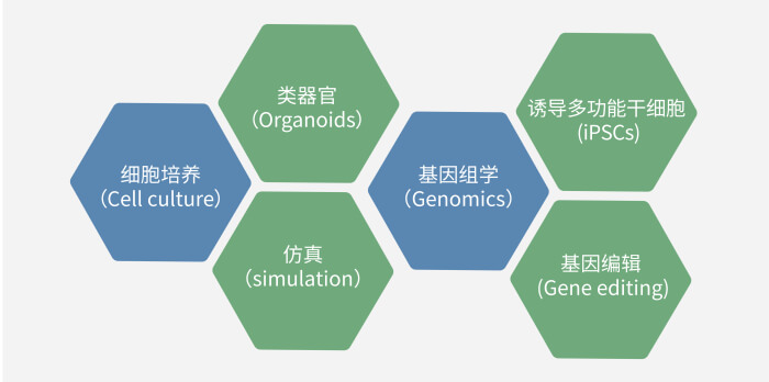 六大技术板块已上线，持续升级中.jpg