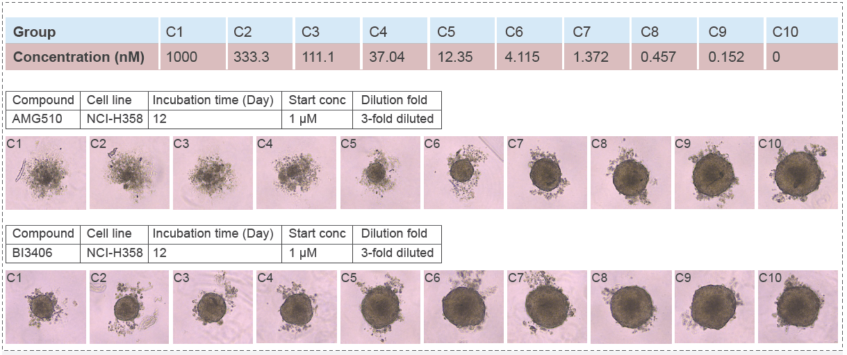 NCI-H358 (Lung, KRASG12C) Cell Cytotoxity Assay (3D).png