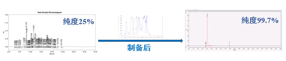 案例一：仿制药发补：大极性杂质制备.jpg