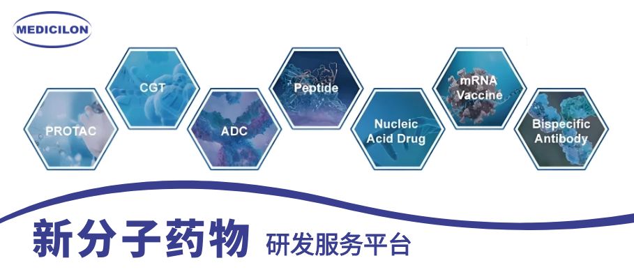 AG真人国际新分子药物研发服务平台
