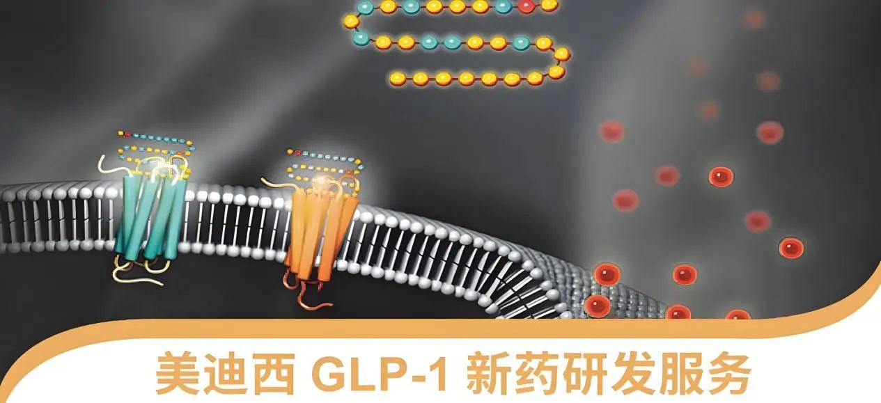 70.5%的成人正在悄悄长胖！国家卫健委“减肥令”下，GLP-1药物如何突围？