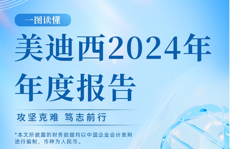 AG真人国际2024年年度报告
