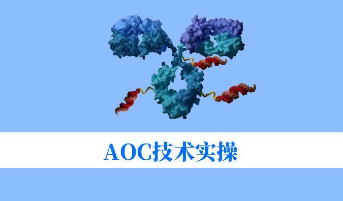 AOC技术实操：偶联化学与表征分析难题全搞定